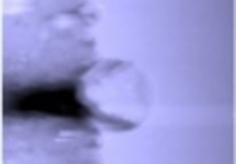Needle Sensor Operation in non-contact AFM Mode
